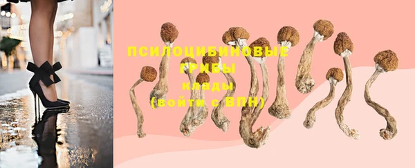MDMA Богородицк