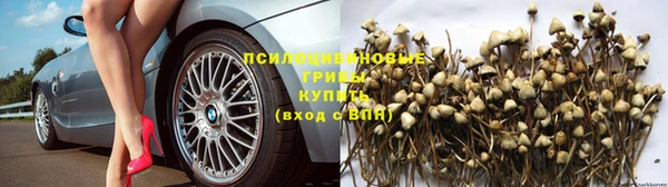 MESCALINE Богданович